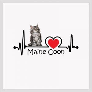 Nalepka - Maine Coon